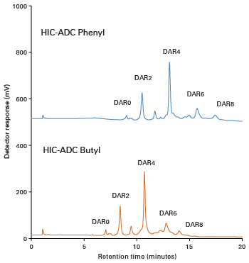 Separation performance of the TSKgel HIC-ADC Phenyl column in comparison to the HIC-ADC Butyl column